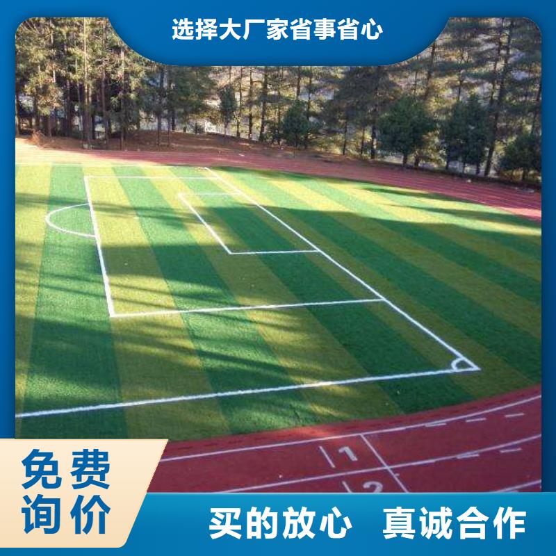 塑胶场地塑胶跑道支持大批量采购真实拍摄品质可靠