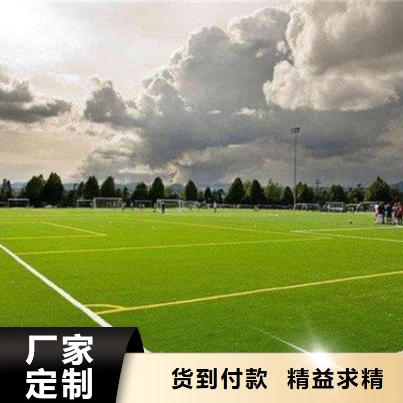 人造草坪_塑胶跑道随心所欲定制专业生产团队