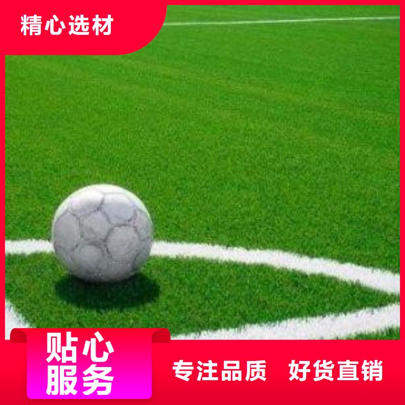 人造草坪PVC塑胶地板源头厂家质保一年