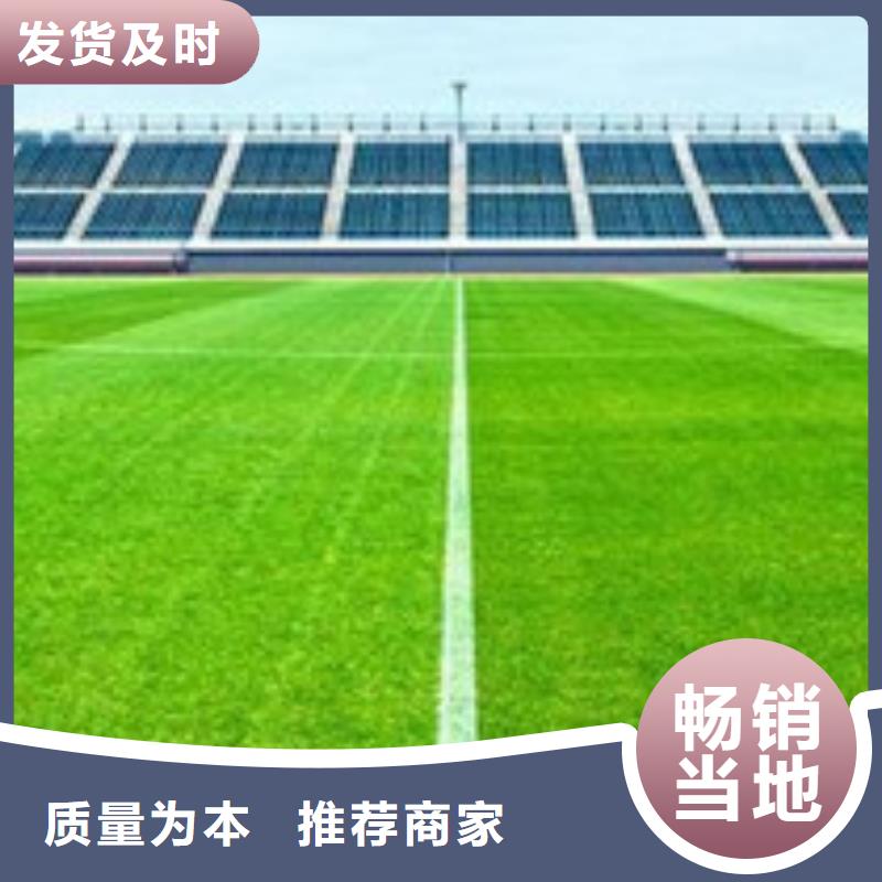 人造草坪_室外塑胶跑道细节之处更加用心品质信得过