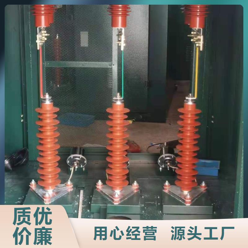 【氧化锌避雷器,高压负荷开关用心做产品】当地制造商