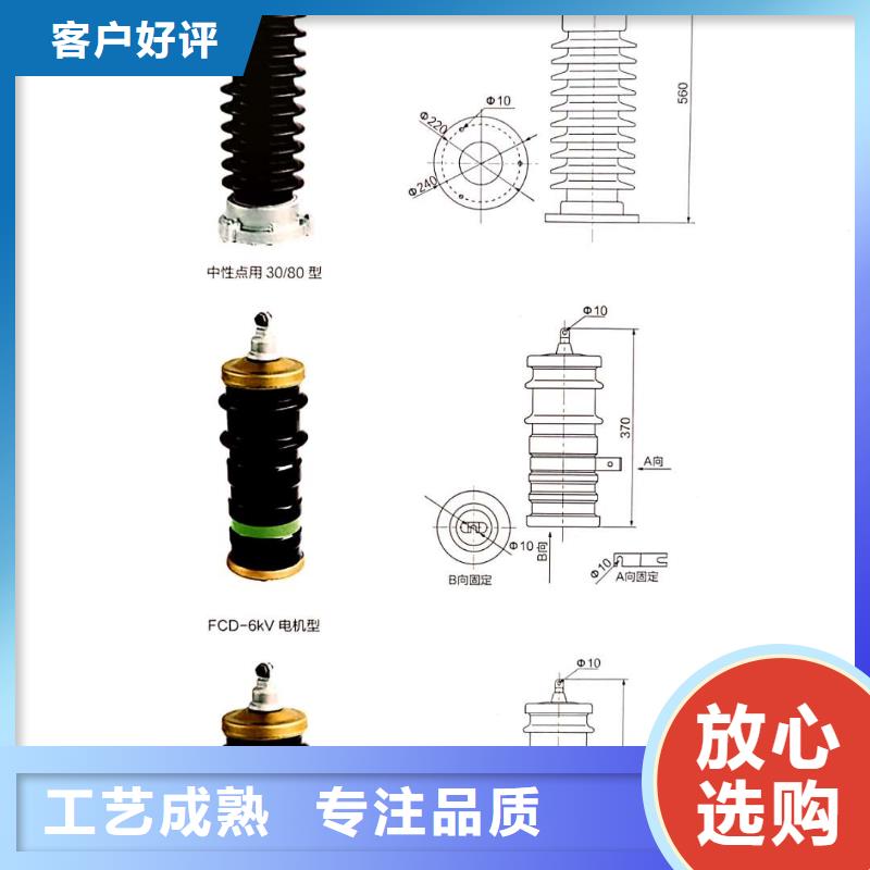 氧化锌避雷器隔离开关工厂批发同城厂家