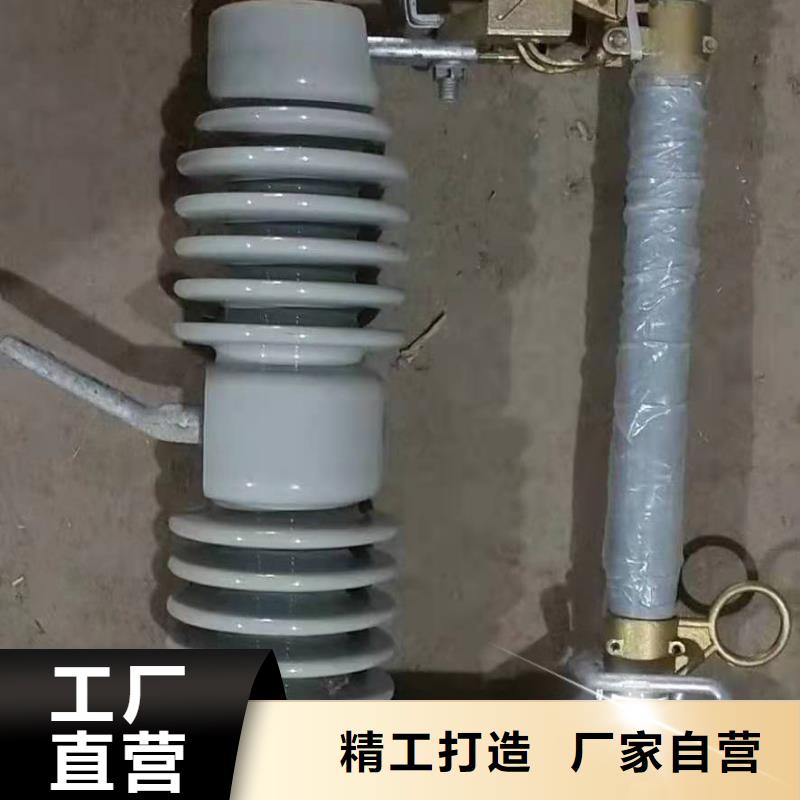 跌落式熔断器_XRNT-12KV熔断器保质保量热销产品