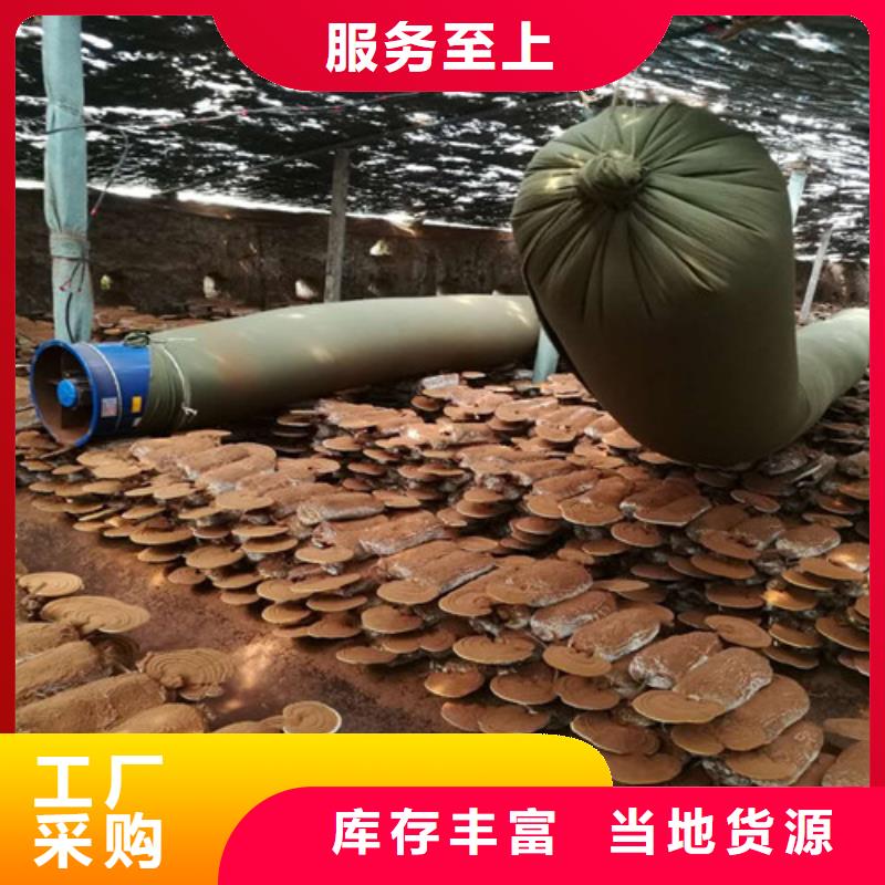 灵芝孢子粉品质保证本地公司