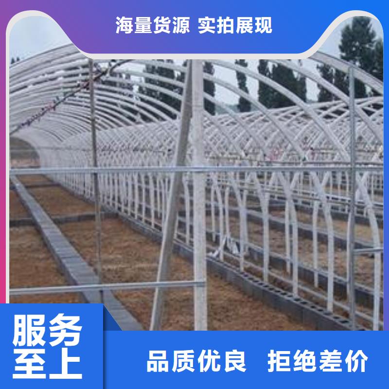 大棚管椭圆管温室大棚源头厂家直销厂家直销售后完善