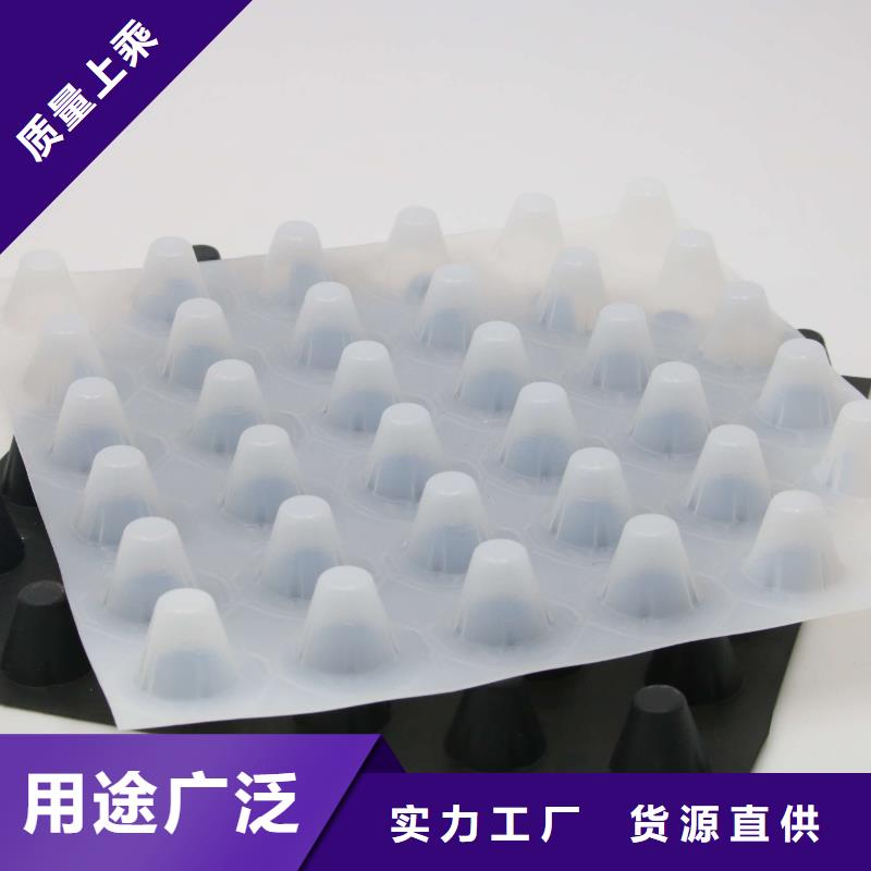 ​【排水板HDPE土工膜用心做品质】本地品牌