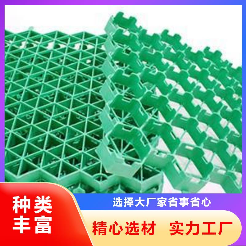 【植草格】土工格室品牌大厂家好货有保障