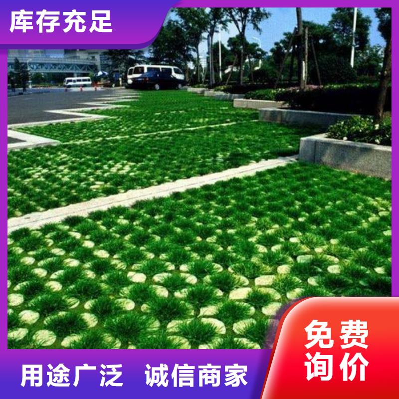 【植草格三维植被网今年新款】同城供应商