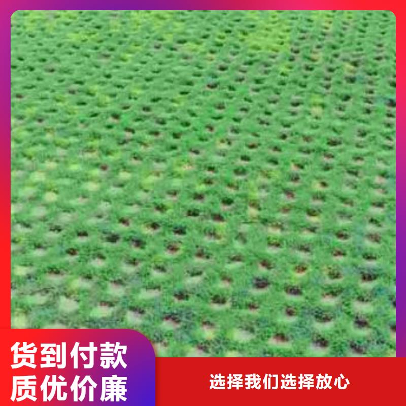 植草格土工布精益求精支持大小批量采购