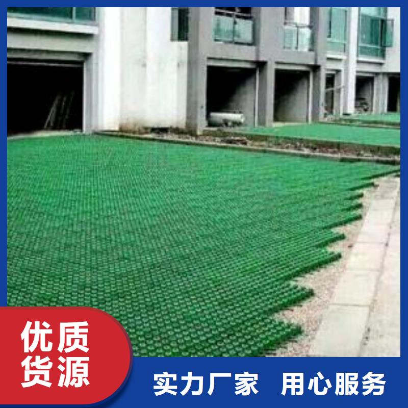 植草格【玻纤土工格栅】厂家工艺先进附近厂家