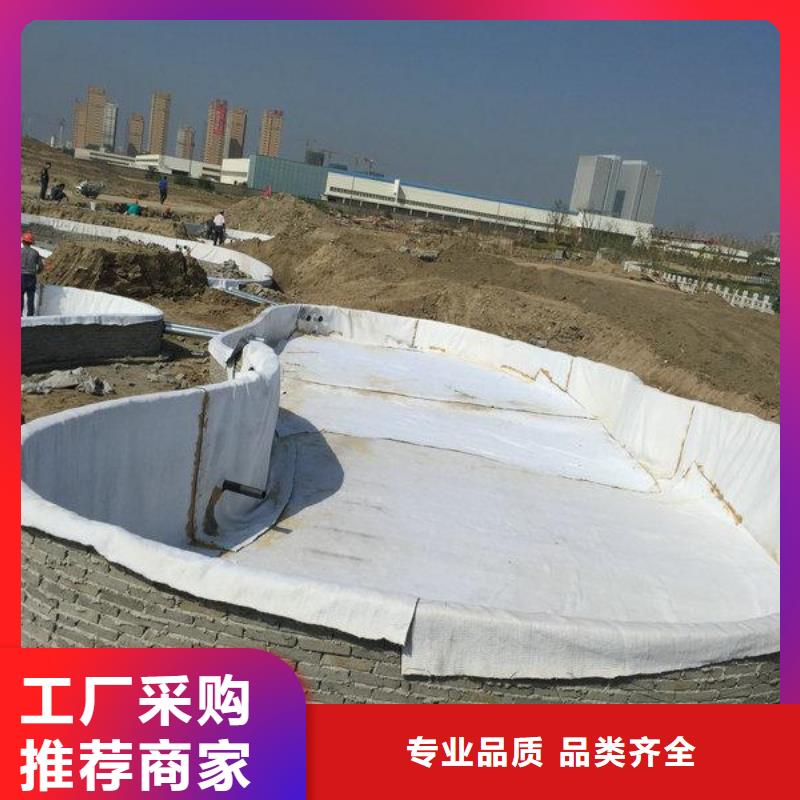 膨润土防水毯,凸结点钢塑土工格栅把实惠留给您让客户买的放心