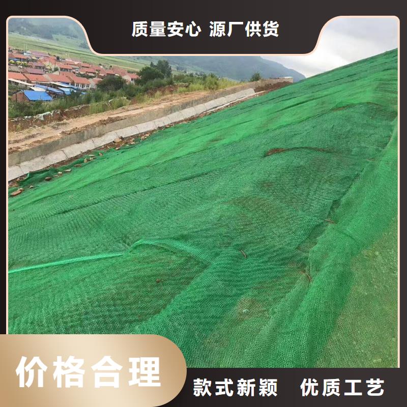 【三维植被网】,防水土工布货源直销当地公司