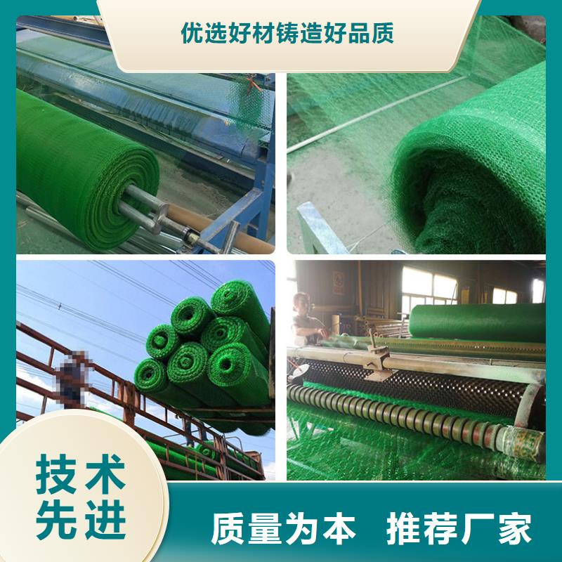 三维植被网_钢塑土工格栅用好材做好产品当地供应商