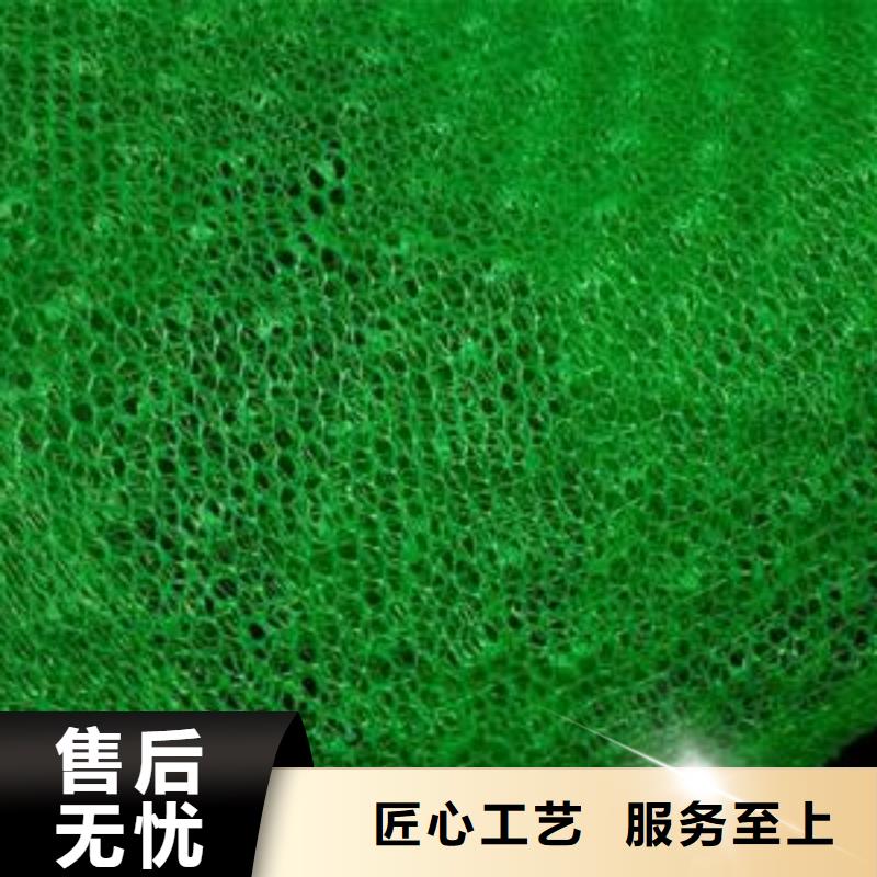 三维植被网【双向塑料格栅】研发生产销售品质可靠