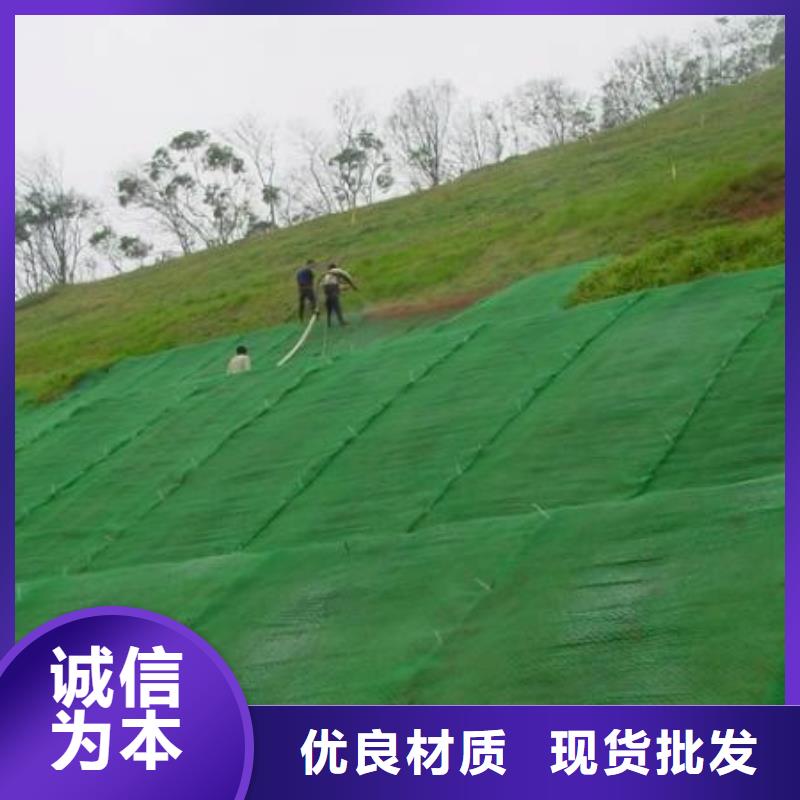 三维植被网【长丝土工布】批发货源量大更优惠