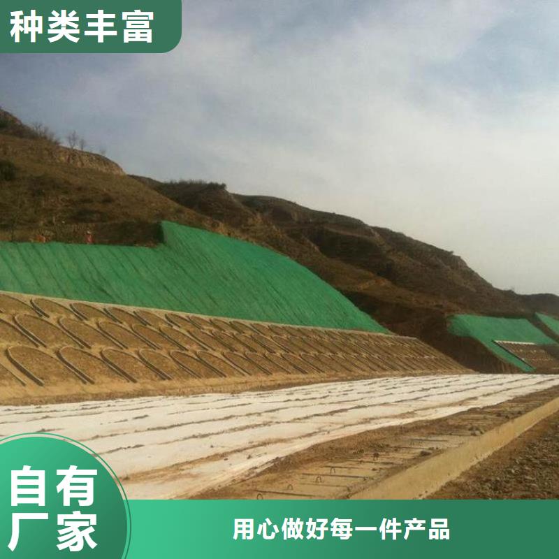 三维植被网【护坡土工网】行业优选源头工厂量大优惠