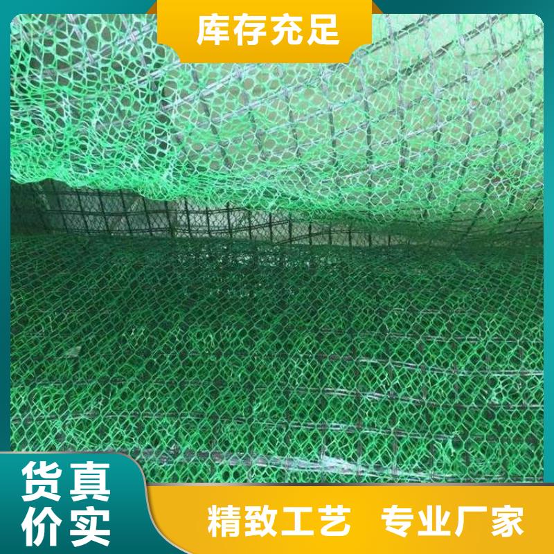 【三维植被网双向塑料格栅免费寄样】附近服务商