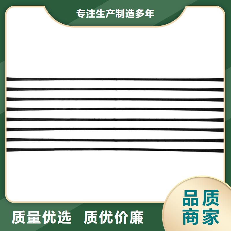 单向拉伸塑料格栅三维植被网厂家型号齐全厂家供应