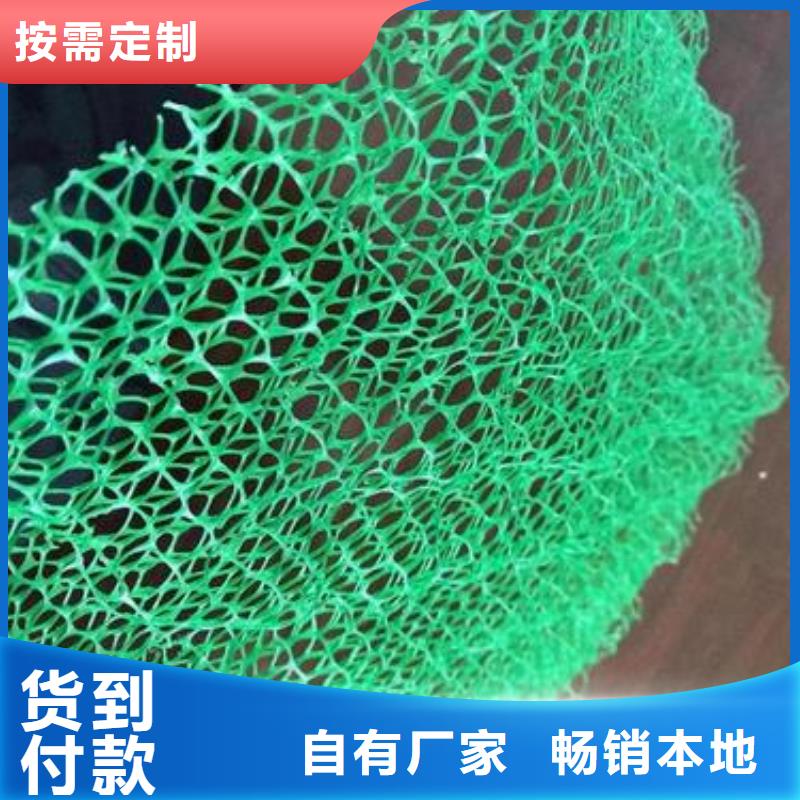 三维植被网双向塑料土工格栅源头采购同城供应商