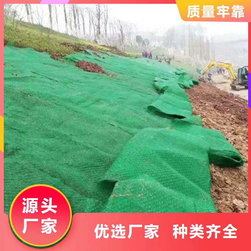 三维植被网短丝土工布产地采购工期短发货快