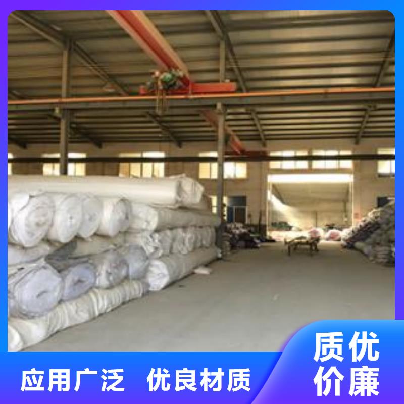 膨润土防水毯-玻纤土工格栅满足多种行业需求本地制造商