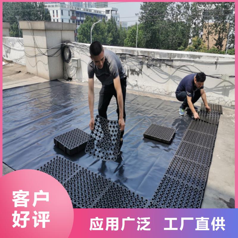 塑料排水板膨润土防水垫支持定制加工工厂自营