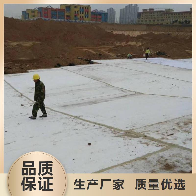 【防水毯】HDPE土工膜制造生产销售本地厂家