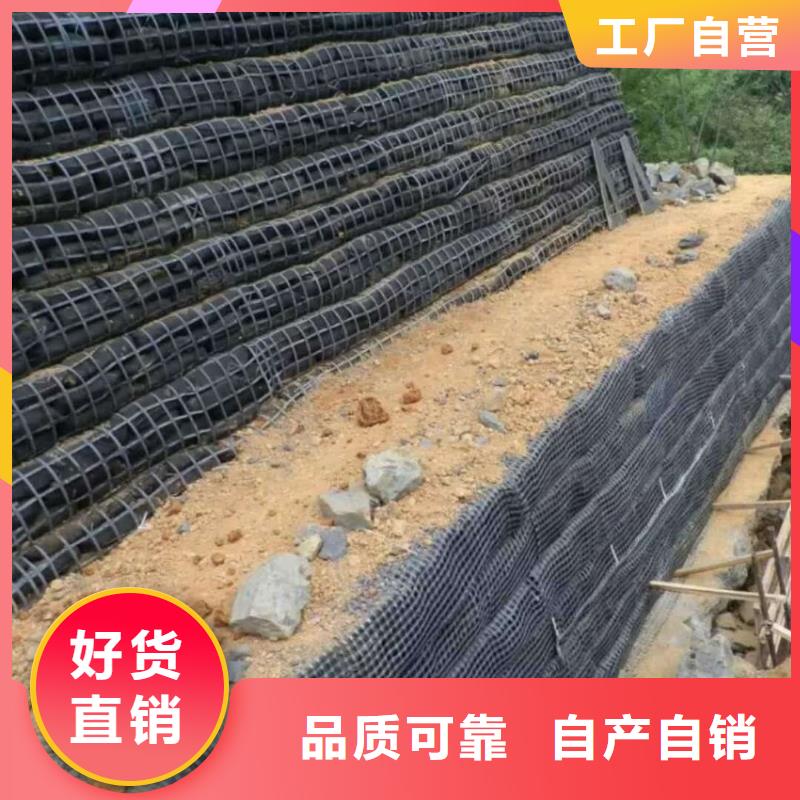 土工格栅土工膜发货迅速支持大小批量采购