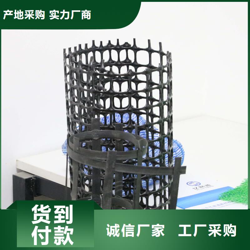 土工格栅涤纶土工格栅品种全真诚合作