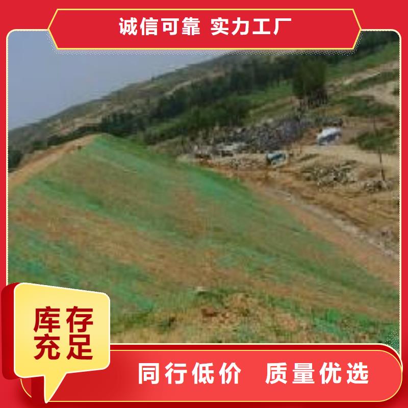 三维植被网_钢塑土工格栅厂家制造厂家本地生产商