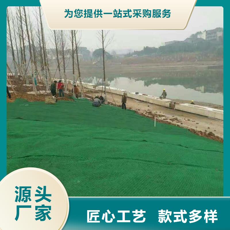 三维植被网玻纤土工格栅物流配送信誉至上