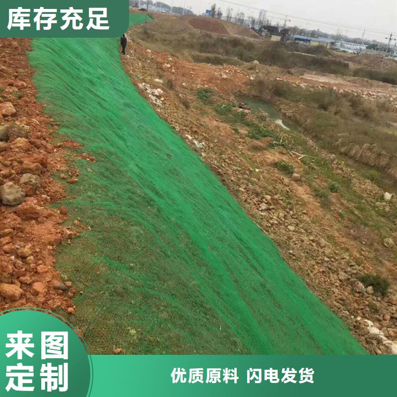 三维植被网-双向塑料土工格栅质量三包大厂家实力看得见