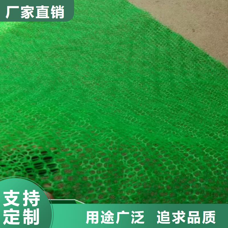 三维植被网【三维水土保护毯】设计制造销售服务一体当地厂家