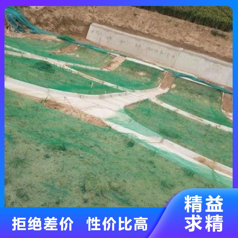 三维植被网多向塑料土工格栅快速发货库存齐全厂家直供