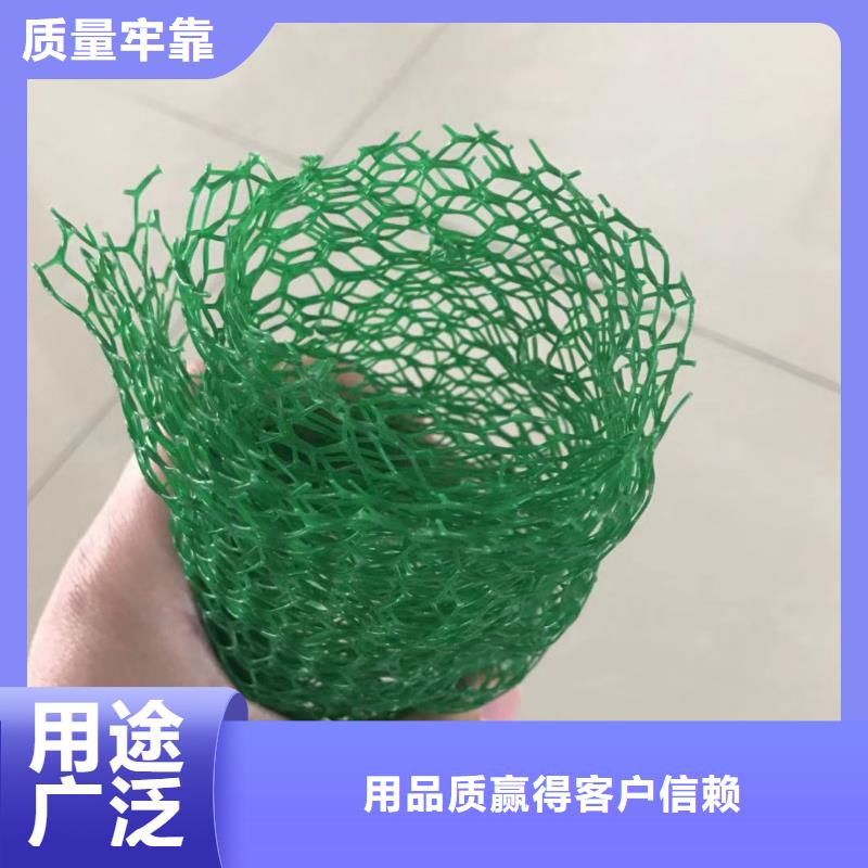 【三维植被网土工布按需定制真材实料】精致工艺