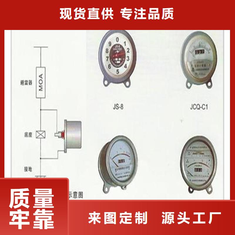 计数器氧化锌避雷器生产厂家定制批发敢与同行比服务