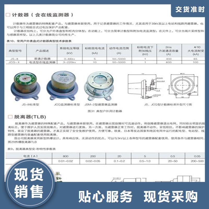 计数器_【氧化锌避雷器价格】多年行业积累当地品牌