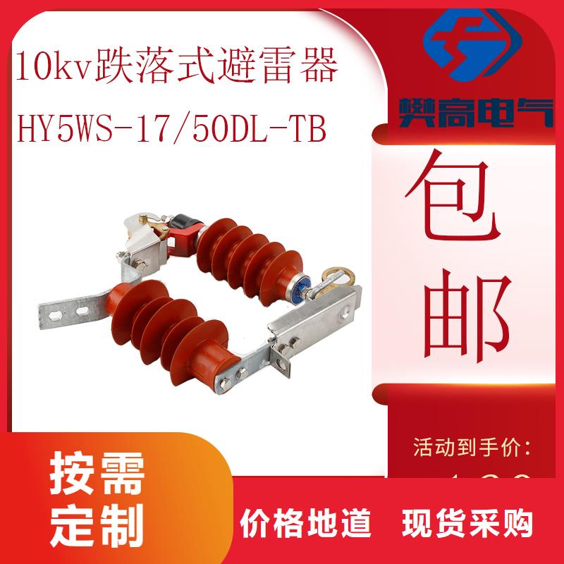 HY5WS-10/30DL-TB可卸式避雷器精益求精