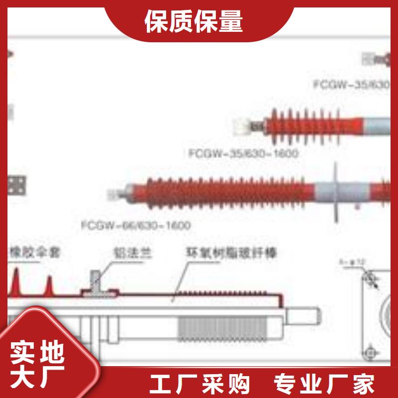 【穿墙套管】绝缘子专心专注专业用心服务