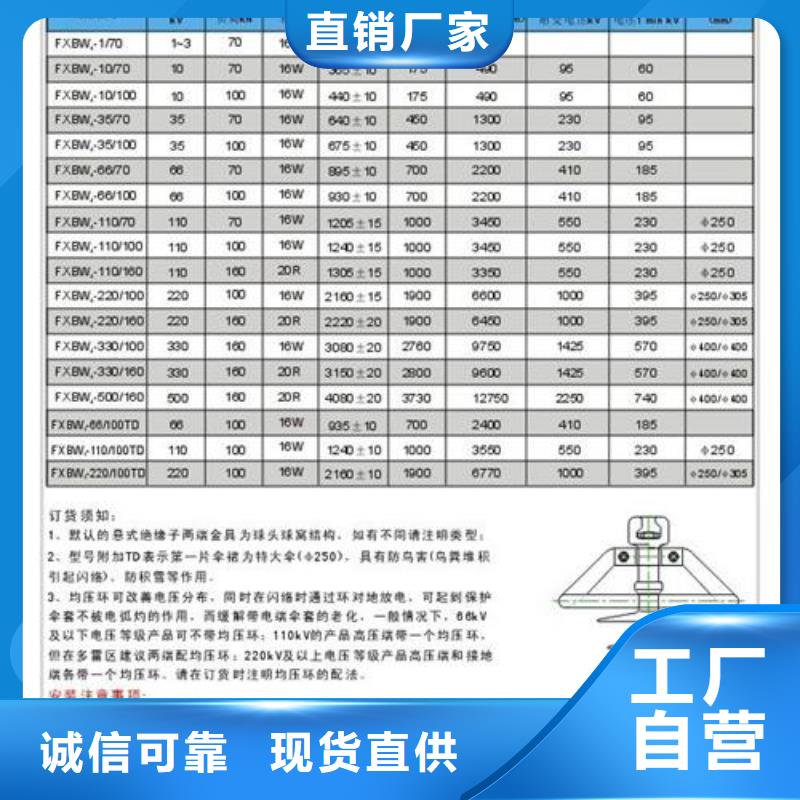 绝缘子氧化锌避雷器价格客户满意度高本地制造商