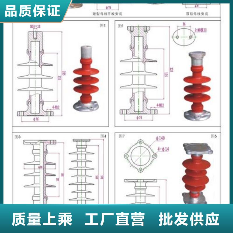 绝缘子【穿墙套管公司】价格有优势优势