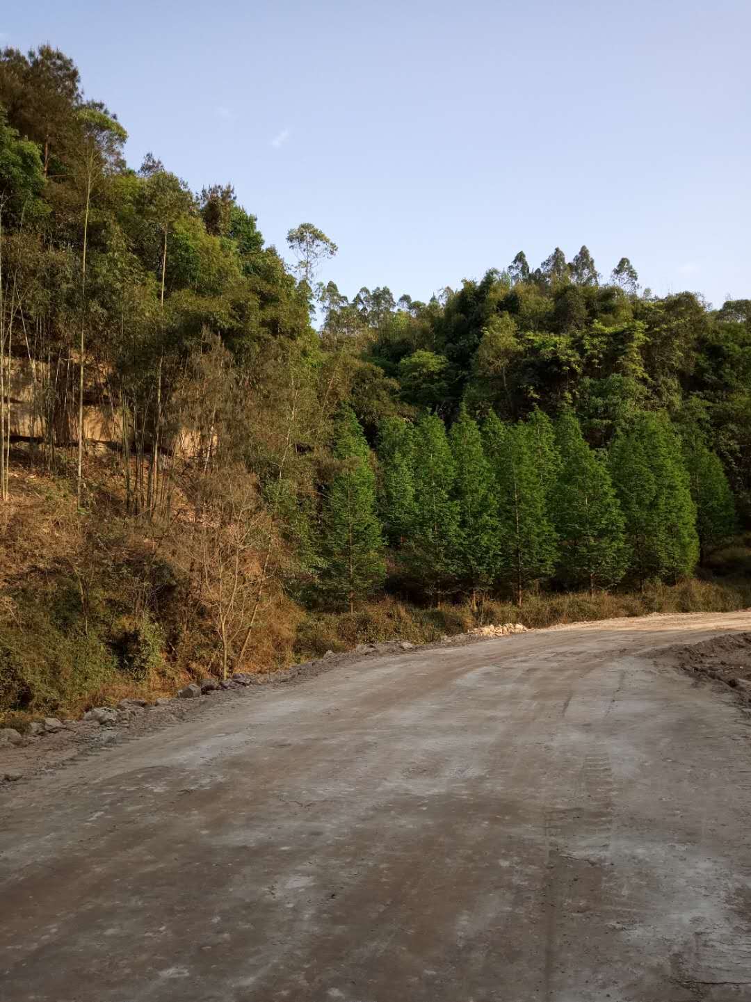 矿山修复尾矿充填土壤固化剂零售本地厂家