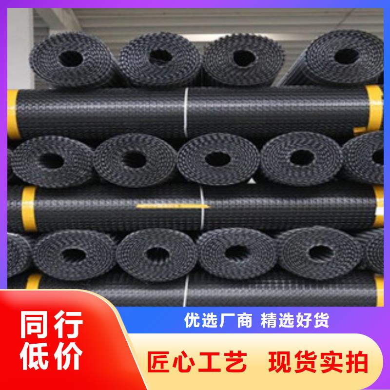 双向塑料格栅三维植被网拒绝中间商让客户买的放心