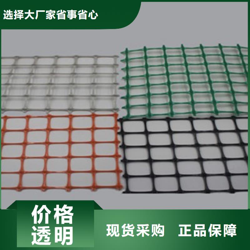 【双向塑料格栅三维植被网源厂直接供货】当地货源