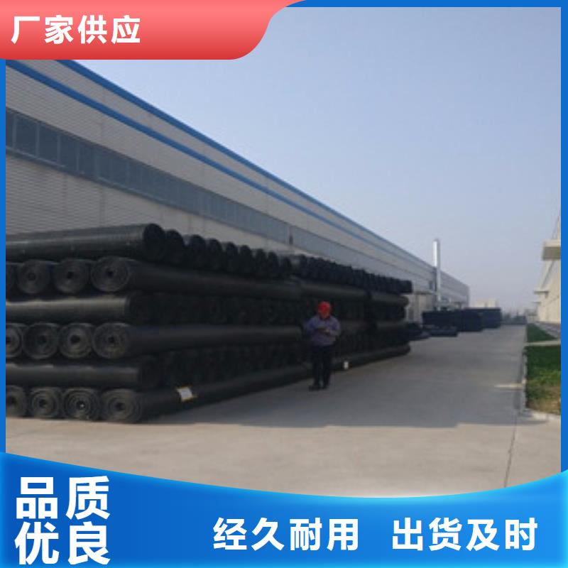 双向塑料格栅_玻纤土工格栅源头厂源头货本市制造商