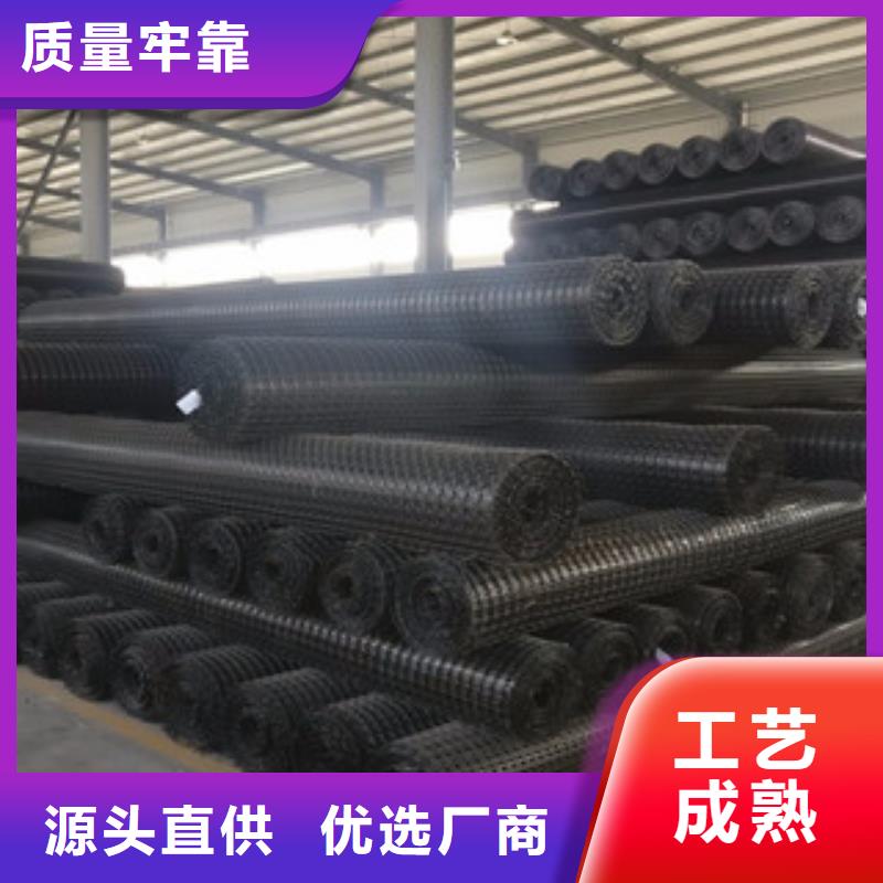 双向塑料格栅-高强度土工网厂家新品本地范围品牌