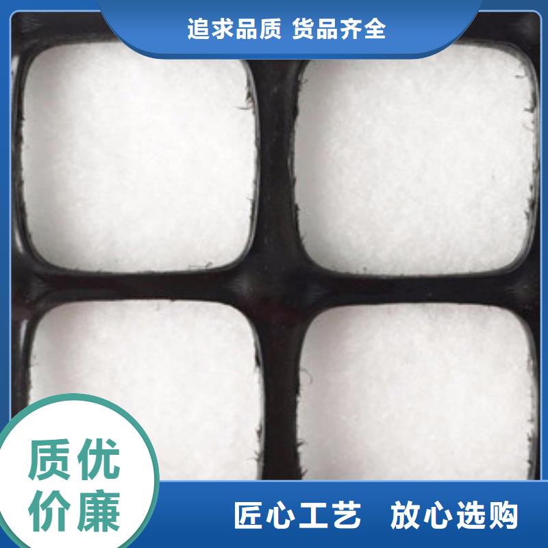 双向塑料格栅【三维植被网】质量优选符合行业标准