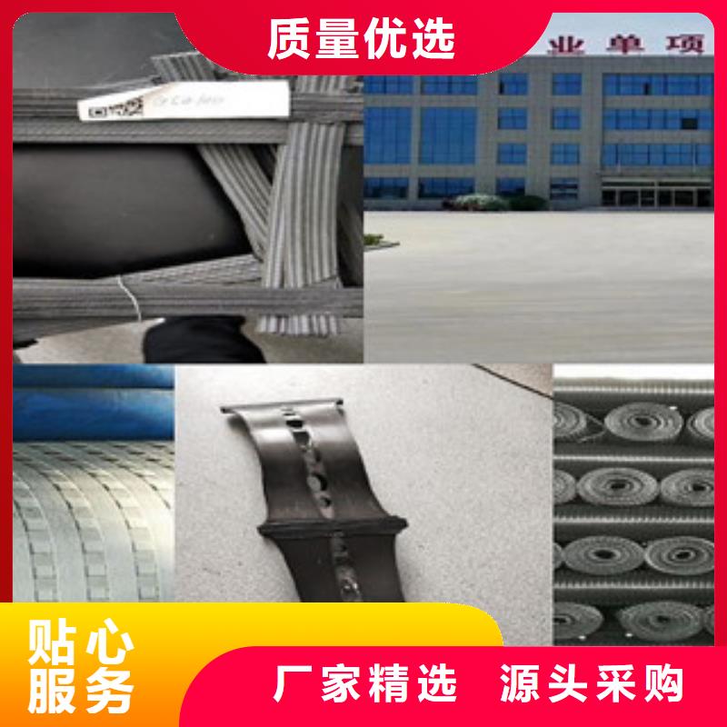 双向塑料格栅塑料土工格栅48小时发货厂家直销规格多样