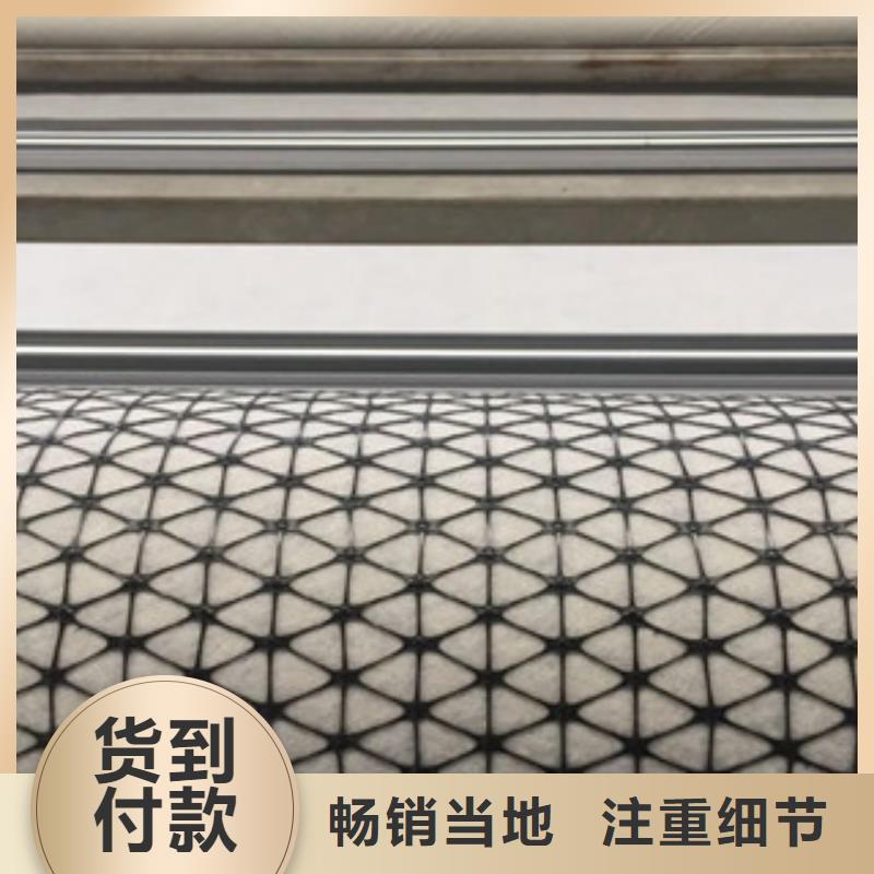 双向塑料格栅 防裂贴抗裂贴材质实在一站式厂家