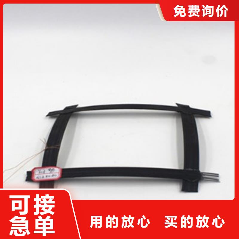 钢塑土工格栅 三维植被网优选厂家老品牌厂家